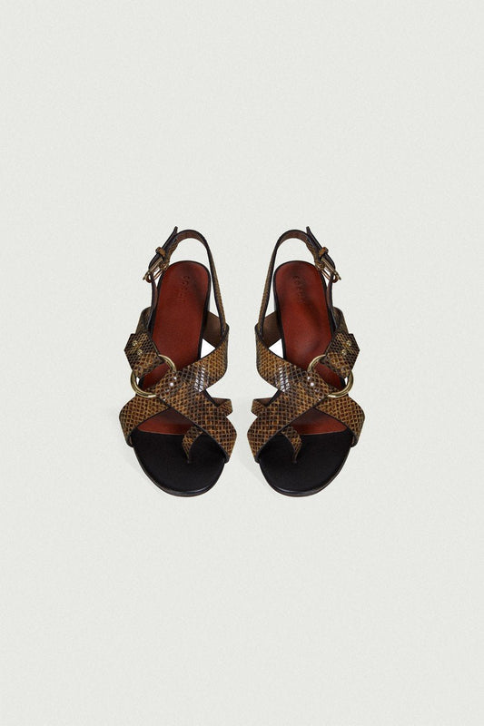 SANDALIAS FLORENTINE PITÓN